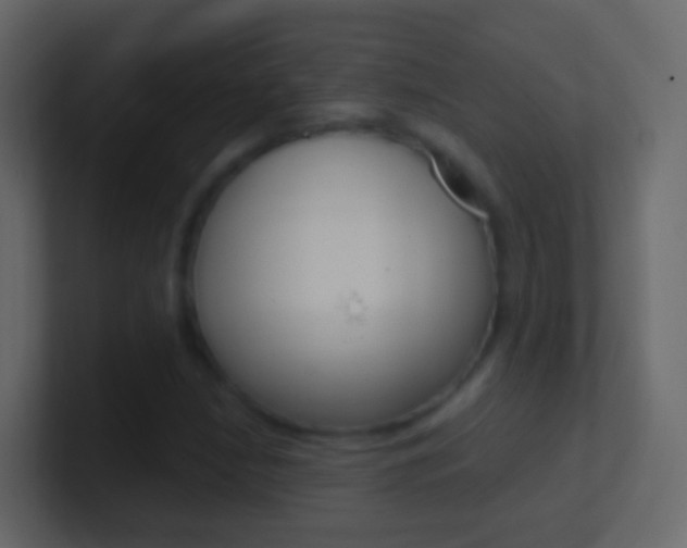 X0000101431210200807070958