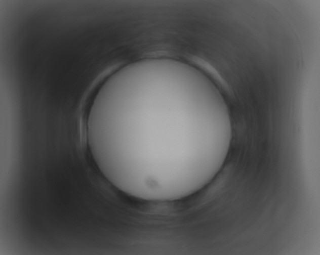 X0000101431219200807070958