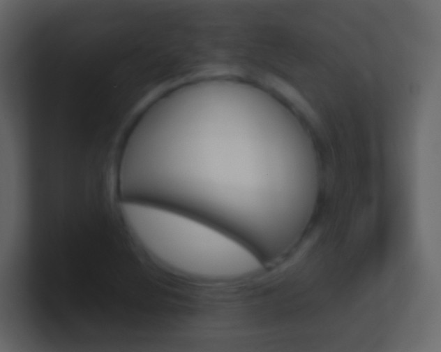 X0000101431220200807070958