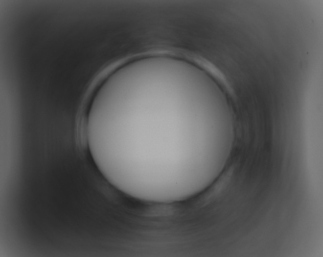 X0000101431223200807070958