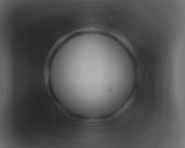 X0000101431224200807070958
