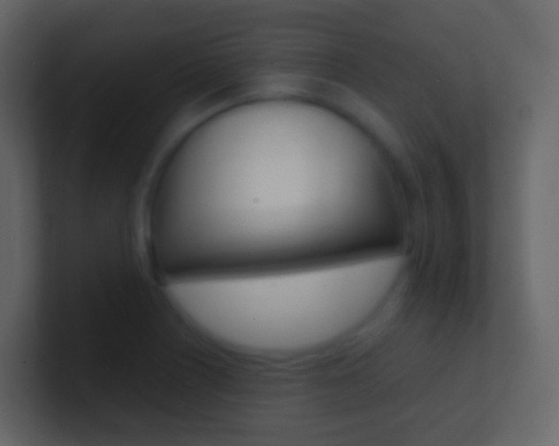 X0000101431226200807070958