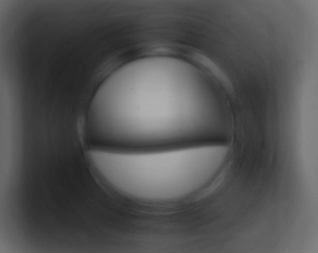 X0000101431233200807070958