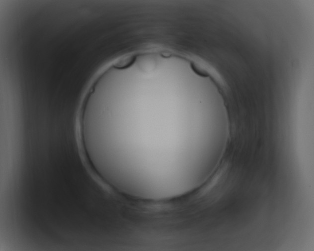 X0000101431239200807070958