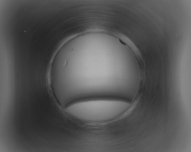 X0000101431244200807070958