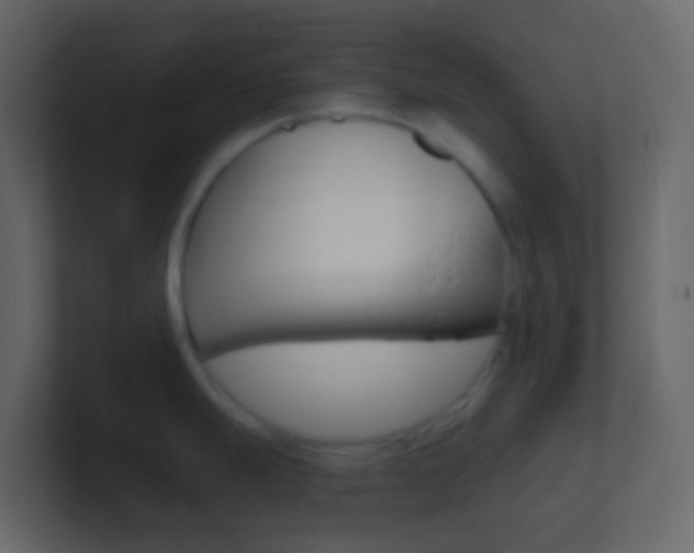 X0000101431247200807070958