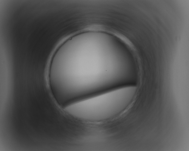 X0000101431248200807070958