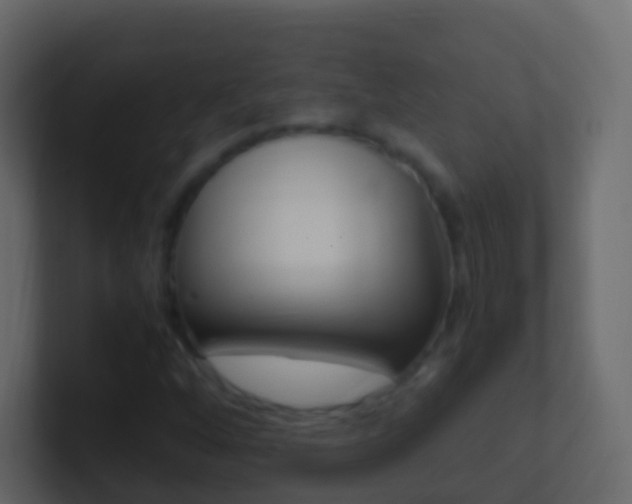 X0000101431256200807070958