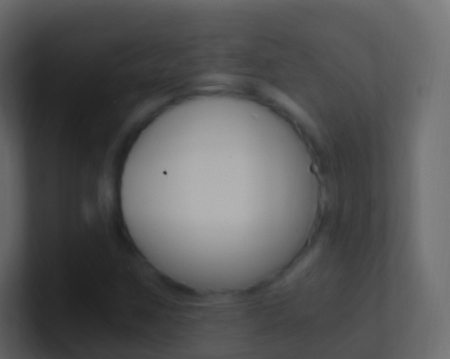 X0000101431259200807070958