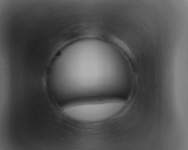 X0000101431260200807070958
