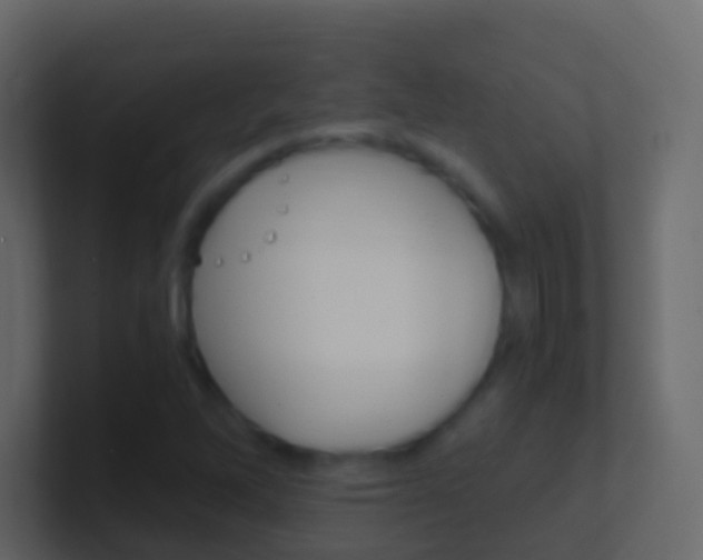 X0000101431262200807070958