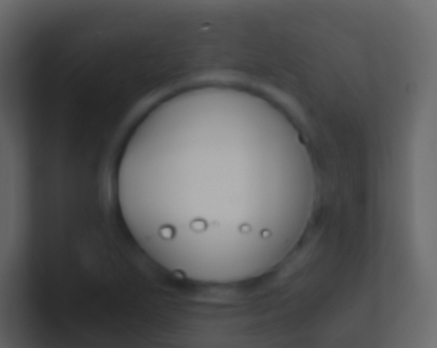 X0000101431271200807070957