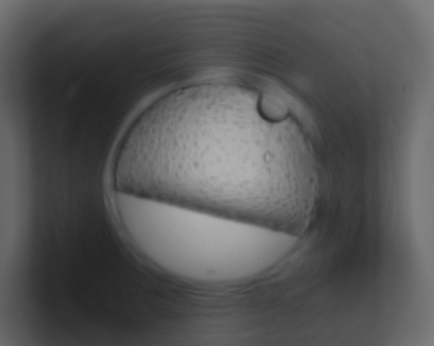 X0000101431283200807070957