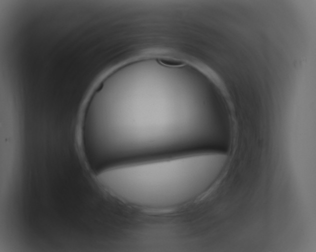 X0000101431296200807070957