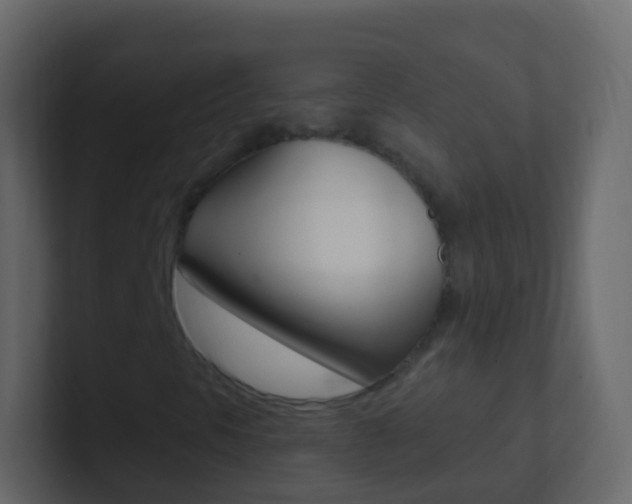 X0000101431297200807070956