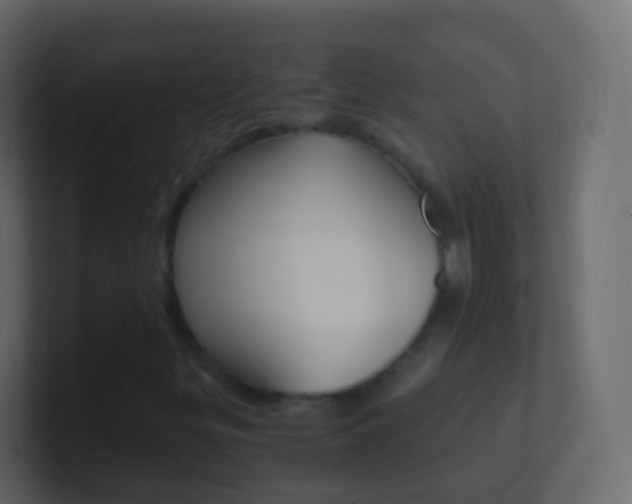 X0000101431299200807070956