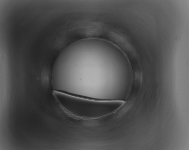 X0000101431300200807070957