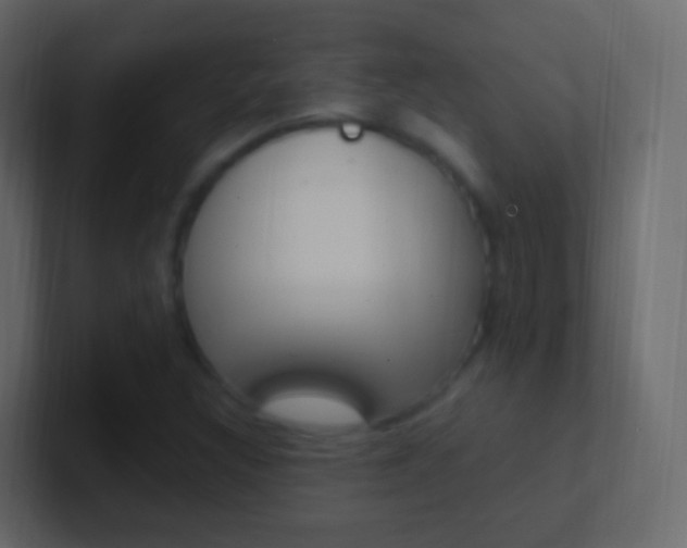 X0000101431308200807070957