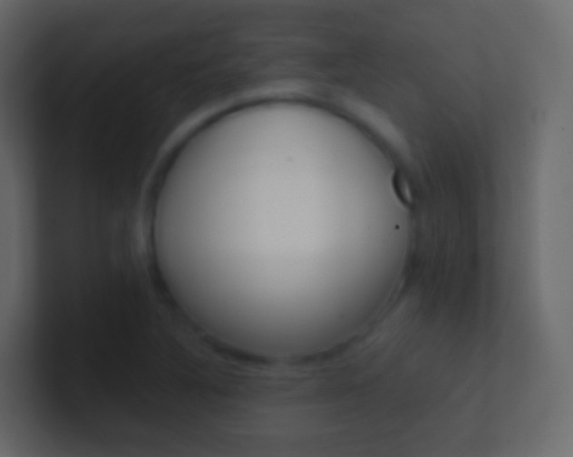 X0000101431316200807070957