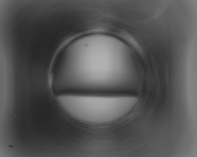X0000101431324200807070957