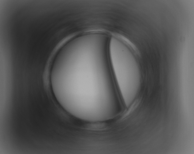 X0000101431325200807070957
