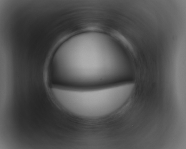 X0000101431331200807070957