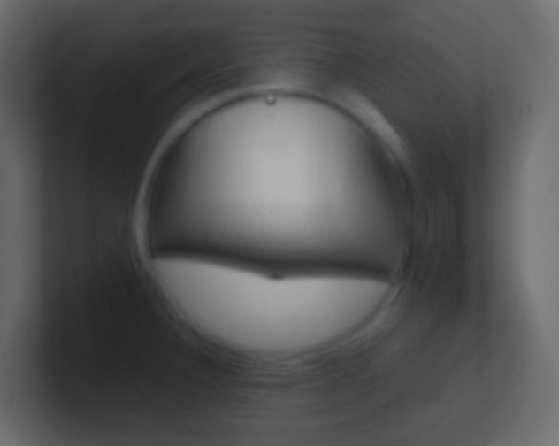 X0000101431332200807070957