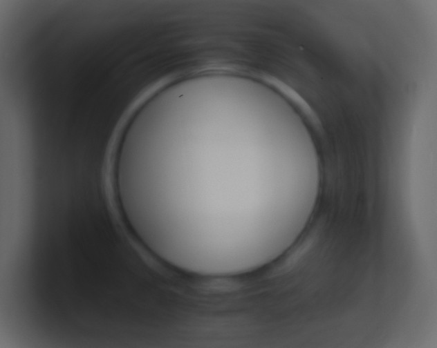 X0000101431333200807070957