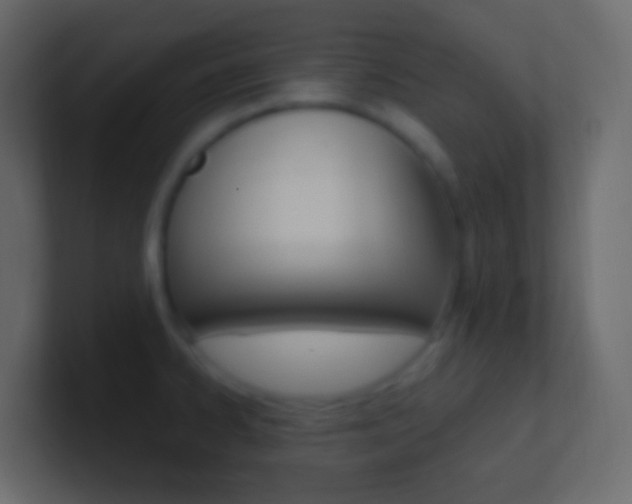 X0000101431334200807070957