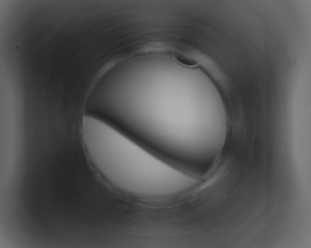 X0000101431337200807070957