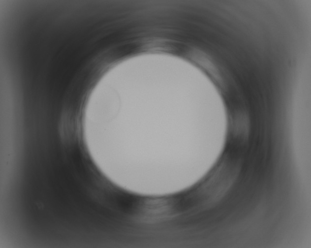 X0000101431338200807070957