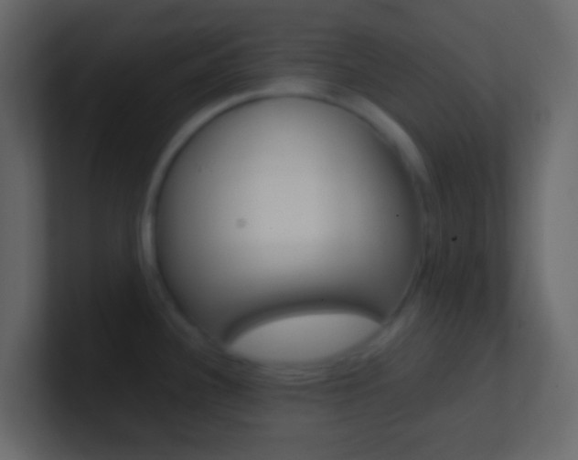 X0000101431340200807070957