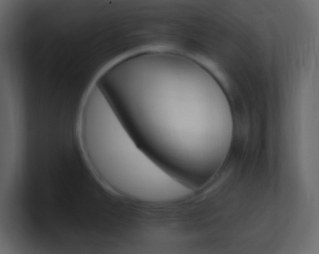X0000101431343200807070957