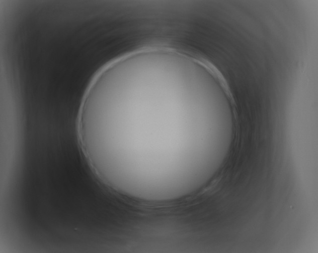 X0000101431344200807070957