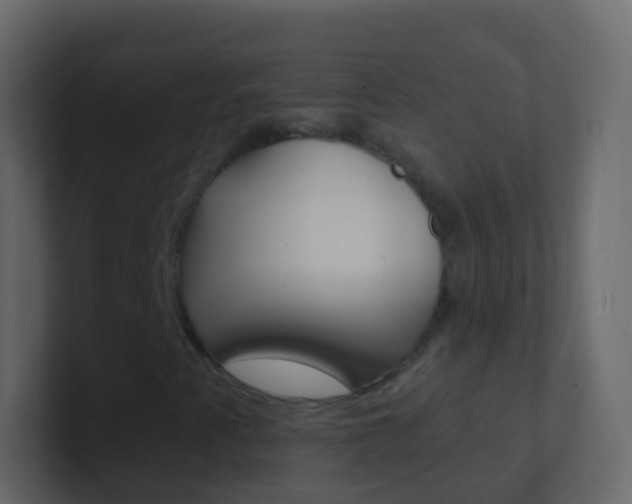 X0000101431345200807070956