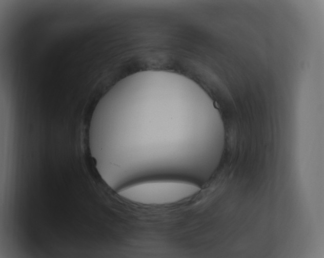 X0000101431346200807070956