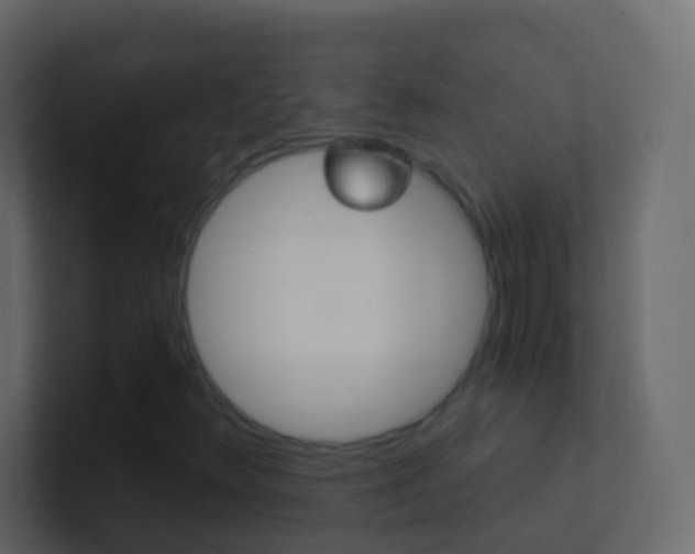 X0000101431348200807070956