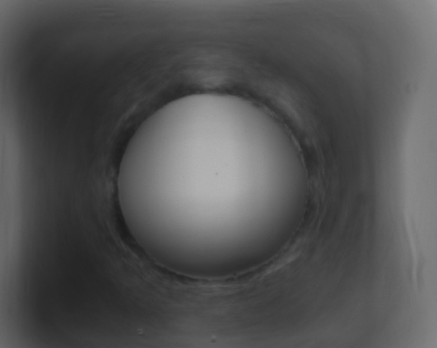 X0000101431349200807070956
