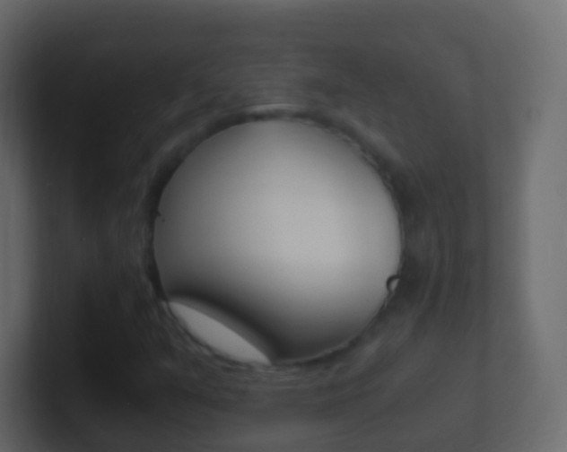 X0000101431351200807070956