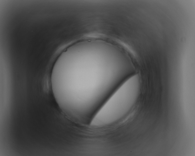 X0000101431358200807070956