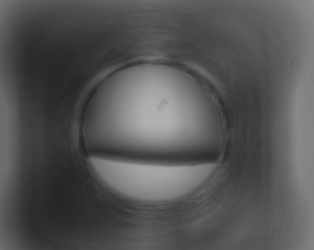 X0000101431359200807070956