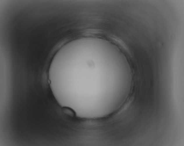 X0000101431362200807070956
