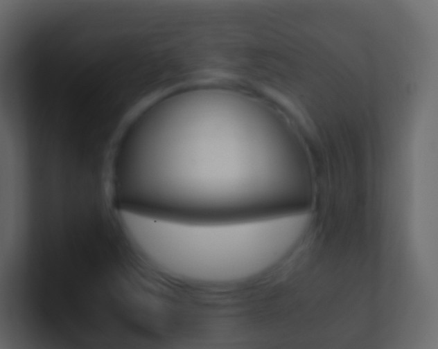X0000101431363200807070956