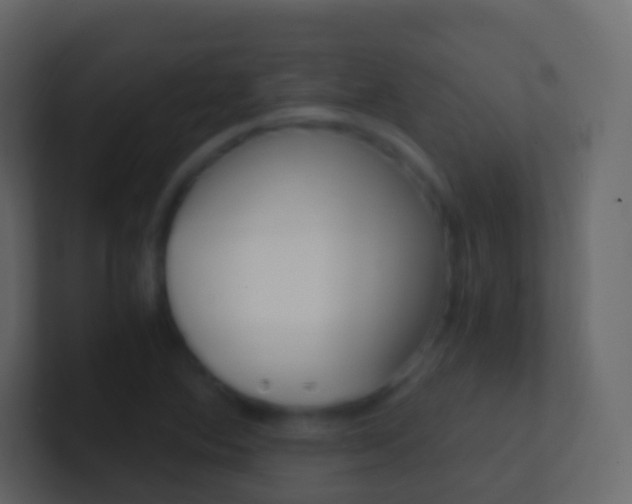 X0000101431364200807070956