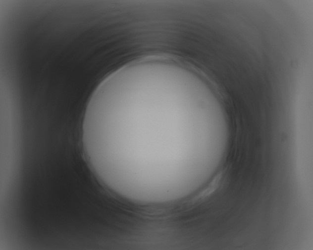 X0000101431369200807070956