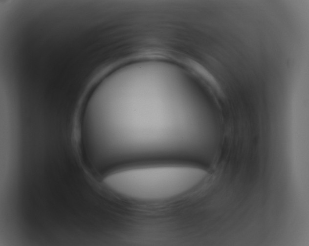 X0000101431372200807070956