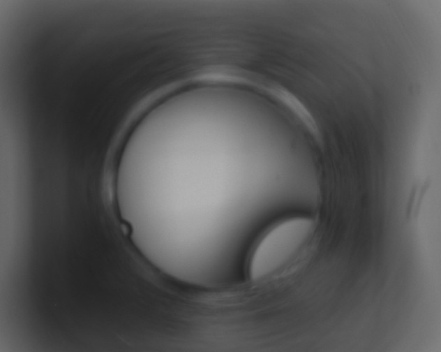 X0000101431376200807070956