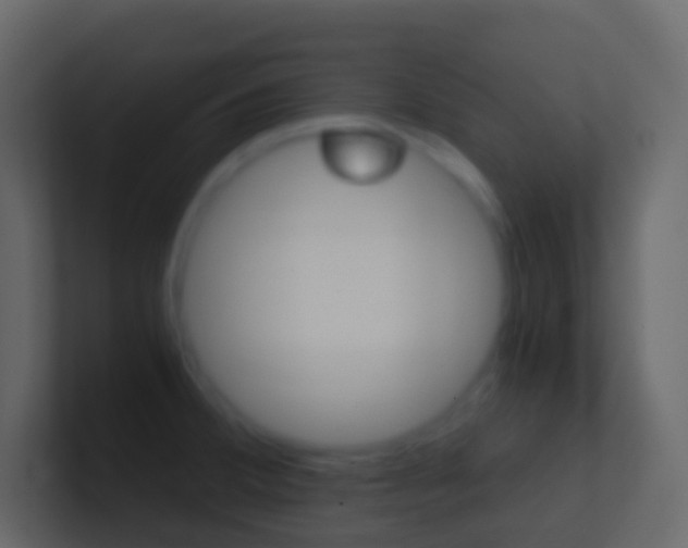 X0000101431380200807070956