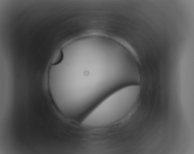 X0000101431382200807070956