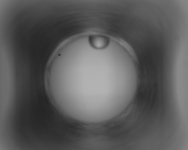 X0000101431384200807070956